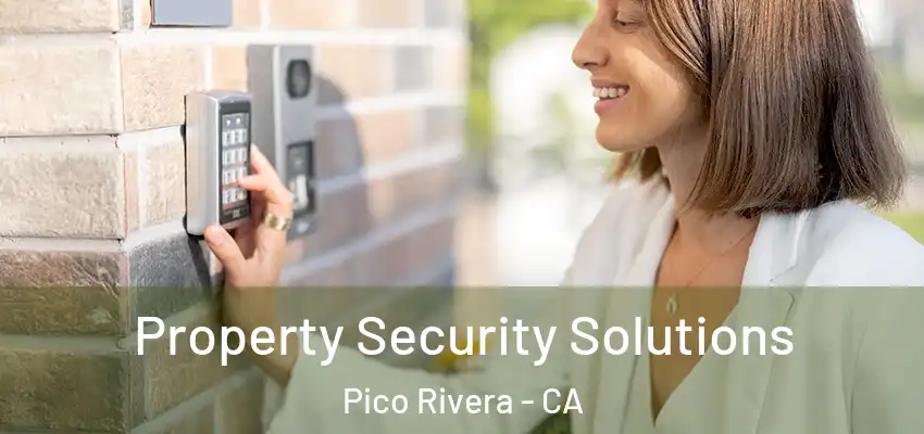  Property Security Solutions Pico Rivera - CA